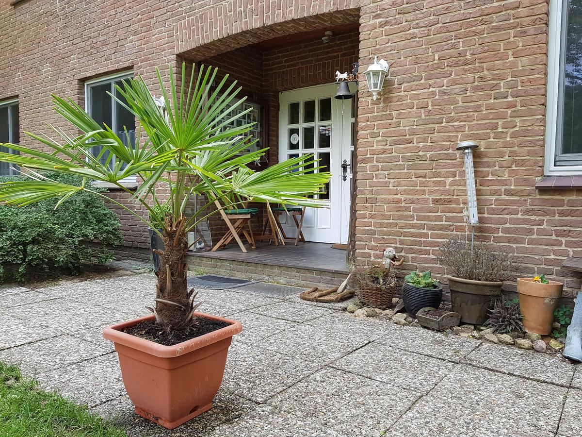 Pension 'Das Kleine Landhaus' Oberhaverbeck Exteriér fotografie