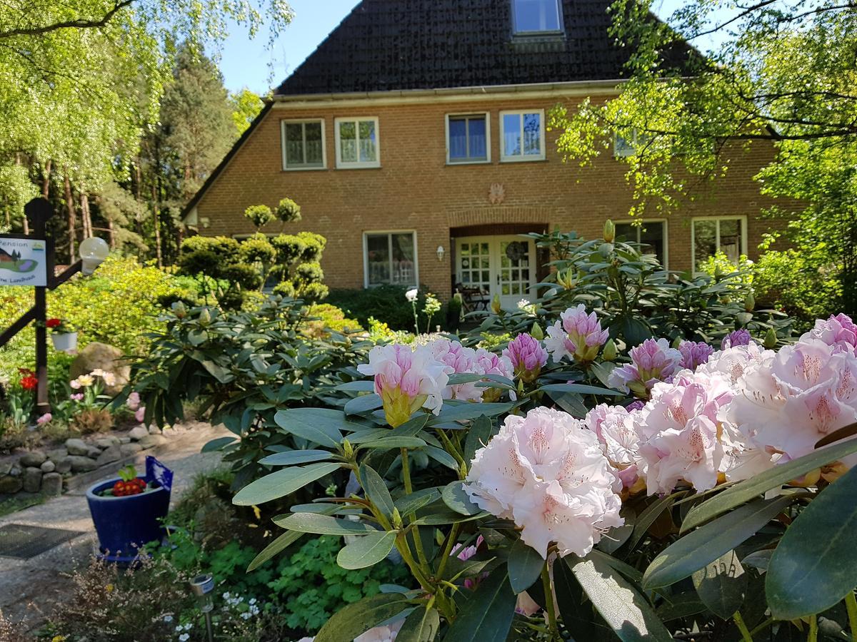 Pension 'Das Kleine Landhaus' Oberhaverbeck Exteriér fotografie